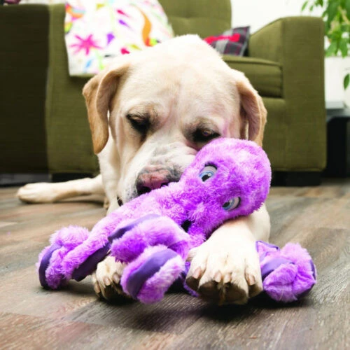 Kong SoftSeas Octopus L Kong SoftSeas Octopus L -Dierenbenodigdheden Kortings Winkel 0205780 met hond LR
