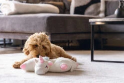 Beeztees Warmteknuffel Voor Pups Mon -Dierenbenodigdheden Kortings Winkel 0619150 sfeer1