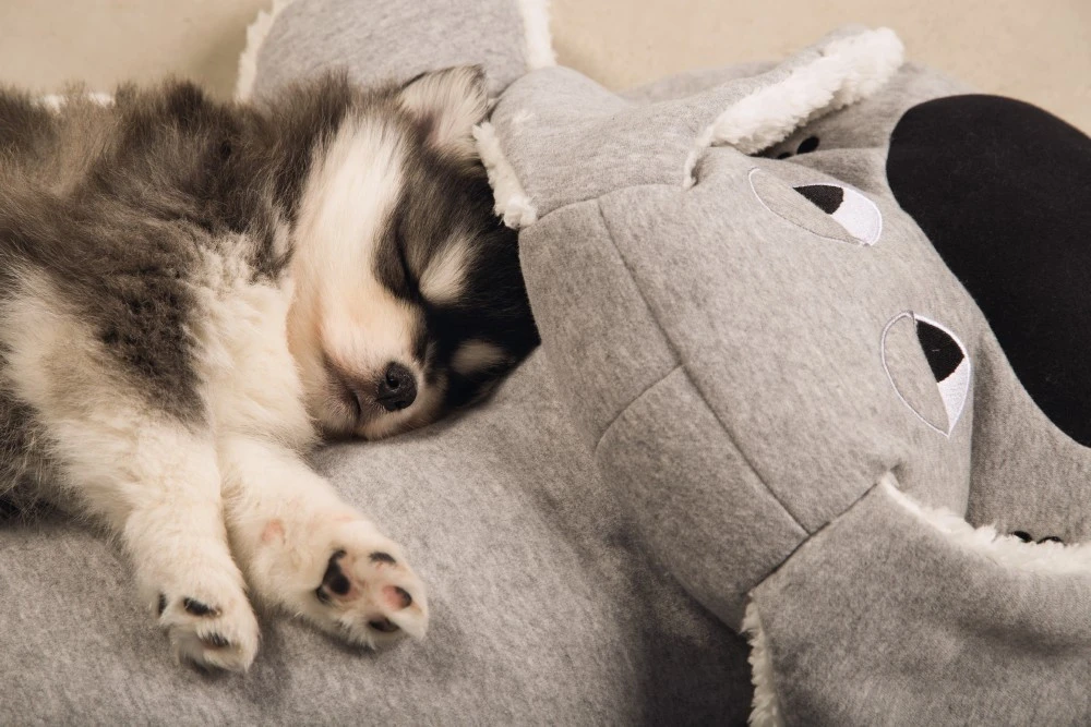 Beeztees Puppy XL-knuffel Boomba grijs Beeztees Puppy XL-knuffel Boomba Grijs -Dierenbenodigdheden Kortings Winkel 0619898 sfeer1