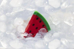 Beeztees Fill-n-Freeze Fruit Assorti -Dierenbenodigdheden Kortings Winkel 0625973 sfeer2