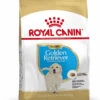 Royal Canin Hondenvoer Golden Retriever Puppy 3 Kg -Dierenbenodigdheden Kortings Winkel 3182550751254