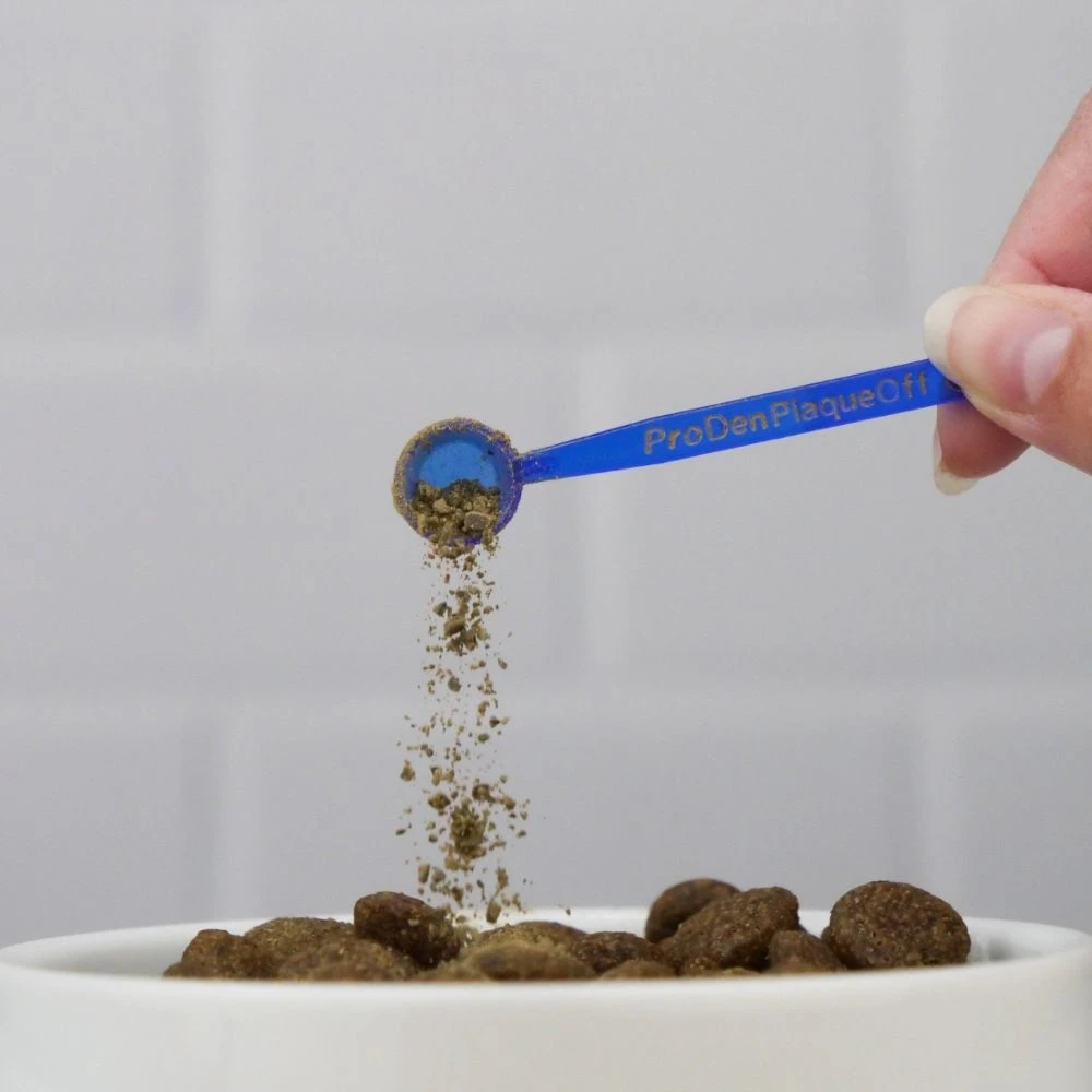 ProDen Plaqueoff 60 gr ProDen Plaqueoff 60 Gr -Dierenbenodigdheden Kortings Winkel 5060073040049 1