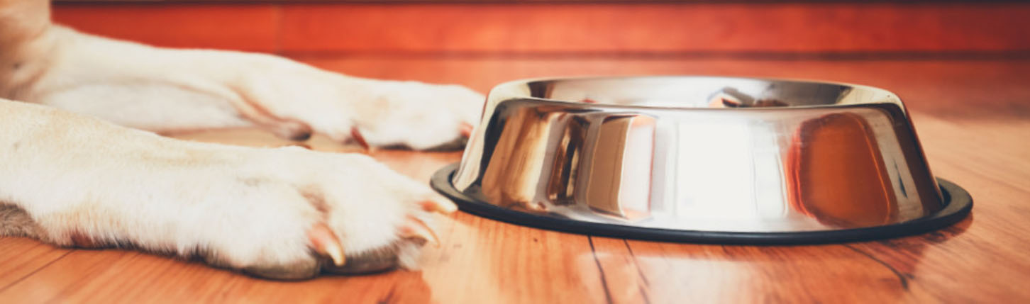 Dierenbenodigdheden Kortings Winkel -Dierenbenodigdheden Kortings Winkel FHFH