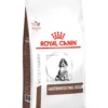 Royal Canin Gastro-Intestinal Puppy 2,5 Kg 1 Royal Canin Gastro-Intestinal Puppy 2,5 Kg -Dierenbenodigdheden Kortings Winkel Hond Gastrointestinal Puppy 1