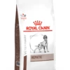 Royal Canin Hondenvoer Hepatic 6 Kg 1 Royal Canin Hondenvoer Hepatic 6 Kg -Dierenbenodigdheden Kortings Winkel Hond Hepatic