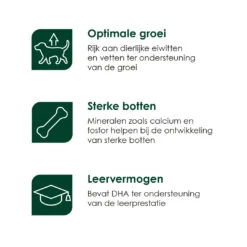 Premium Care Original Puppy Medium Chicken & Rice 3 Kg -Dierenbenodigdheden Kortings Winkel Puppy Medium iconen