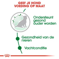 Royal Canin Hondenvoer Mini Ageing 12+ 3,5 Kg 4 Royal Canin Hondenvoer Mini Ageing 12+ 3,5 Kg -Dierenbenodigdheden Kortings Winkel royal canin mini ageing 12plus senior hond oudere hond vanaf 12 jaar hero usp